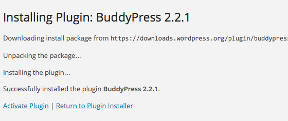 WordPress Plugin Installed - Activate?