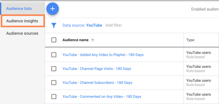 Google Ads Audience Insights