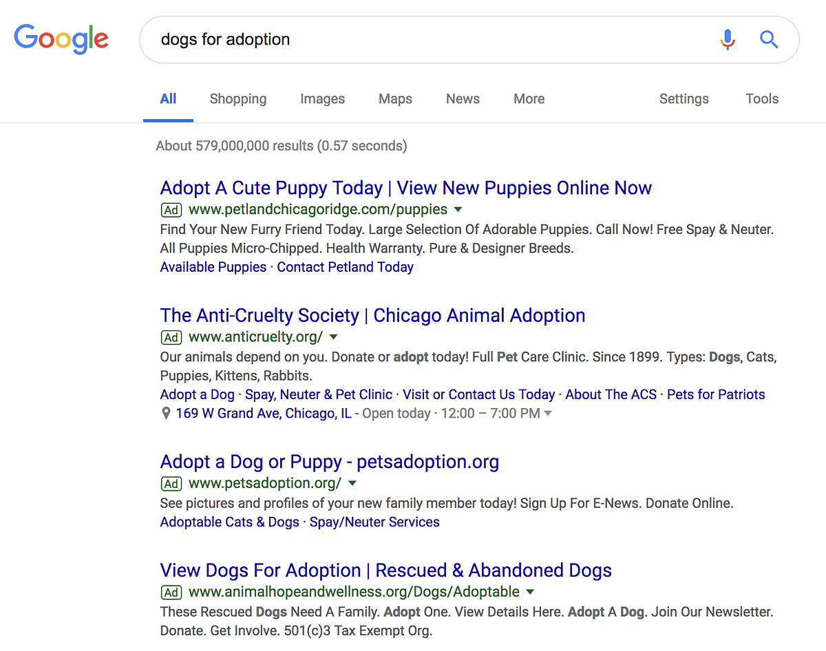 paid search advertising for dogs