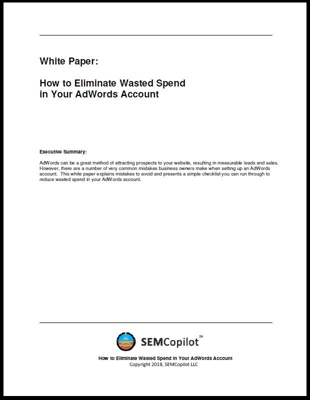 White Paper: How to Eliminate Wasted Spend in Your AdWords Account 