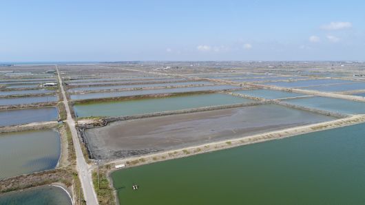 The site of Google's planned solar power project in Taiwan which will include the use of poles hoisting solar panels above fishing ponds.